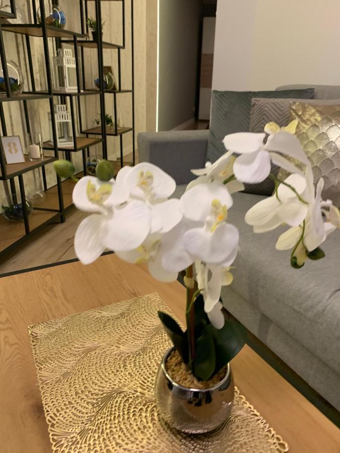 Moderno Apartament Kraków Zewnętrze zdjęcie